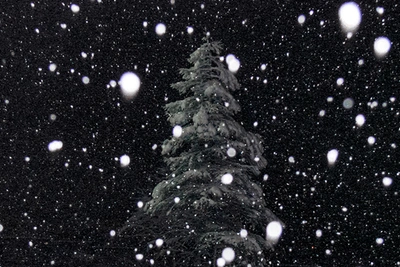 Сильный снег ожидается в Ольском муниципальном округе