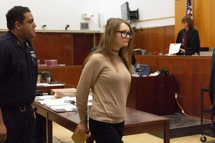 Анна Делви в суде