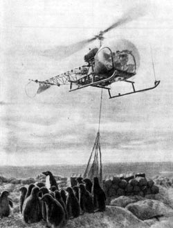Год в 914 дней