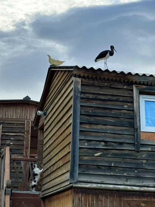 Специалисты рассказали, чем грозят оскорбления и пересылка чужих фото в Сети