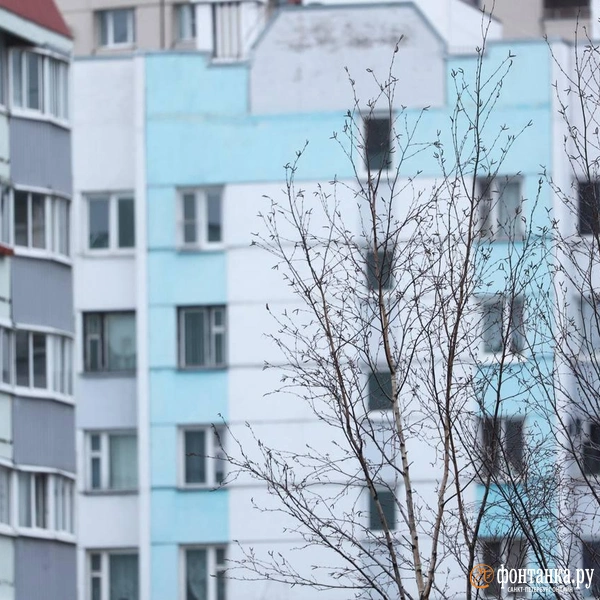 Источник: Сергей Михайличенко / «Фонтанка.ру»