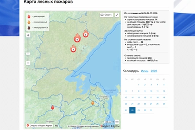Площадь лесных пожаров в Хабаровском крае превысила 6 тысяч гектаров