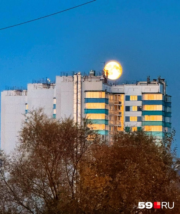 Впечатление, что луна вот-вот присядет на крышу высотки | Источник: Светлана Заводова / 59.RU