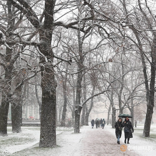 Источник: Сергей Михайличенко / «Фонтанка.ру»