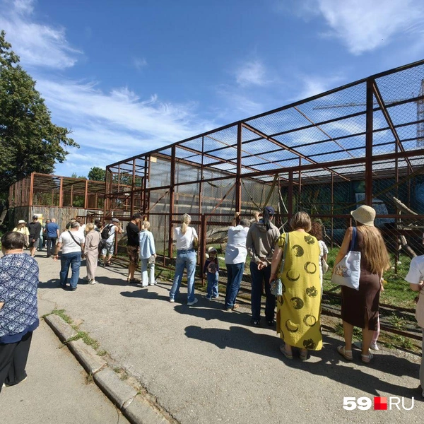 Источник: Василина Любимова / 59.RU 