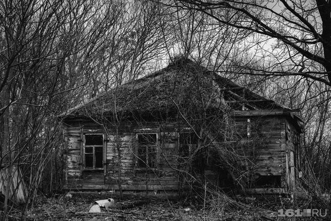 В хуторе почти все дома заброшены | Источник: Евгений Вдовин / 161.RU