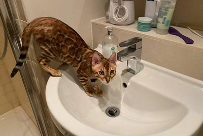 Десятки домов в Тюмени остались без отопления из-за аварии