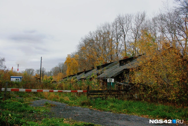 Защита от нежданных гостей — простая деревяшка | Источник: Татьяна Ирискина / NGS42.RU
