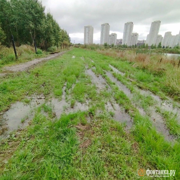 Источник: Ольга Ясененко