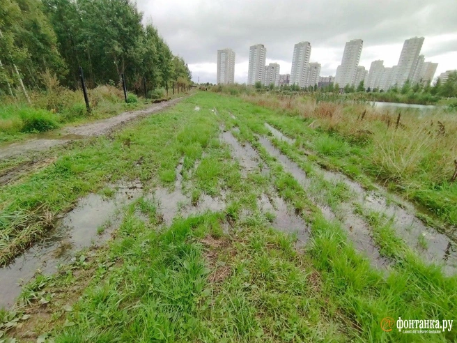 Превращение антенных полей в парк откладывается на 2026 год | Источник: Ольга Ясененко
