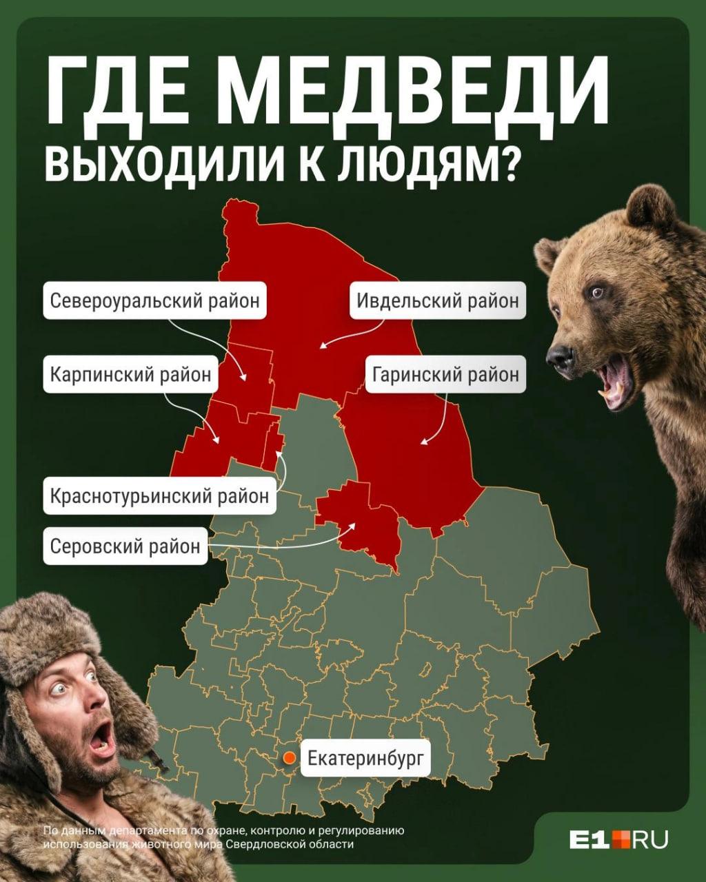 В Свердловской области рассылают шокирующее видео с убийством медведя. Что с ним не так?