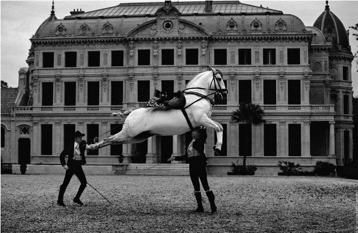 Четвероногий балет: невероятные способности андалусских лошадей в объективе австралийского фотографа