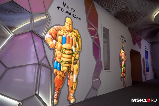 Статистику назвали в региональном Минздраве | Источник: Дмитрий Толстошеев / MSK1.RU