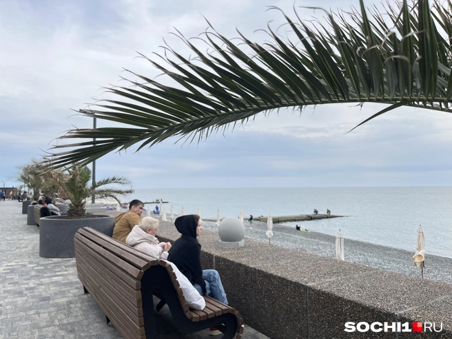 Грустно и малолюдно на сочинских пляжах | Источник: Анна Грицевич / SOCHI1.RU