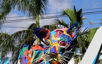 Винвуд: 8 идей, как провести день в самом творческом районе Майами