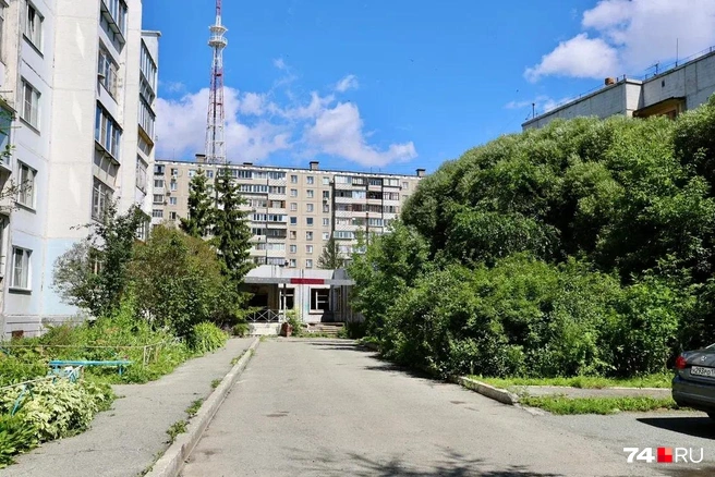 Дворик утопает в зелени, что довольно редко для центра города | Источник: Михаил Шилкин