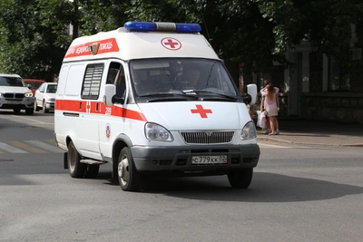 Владелицу немецкой овчарки оштрафовали за нападение на школьника