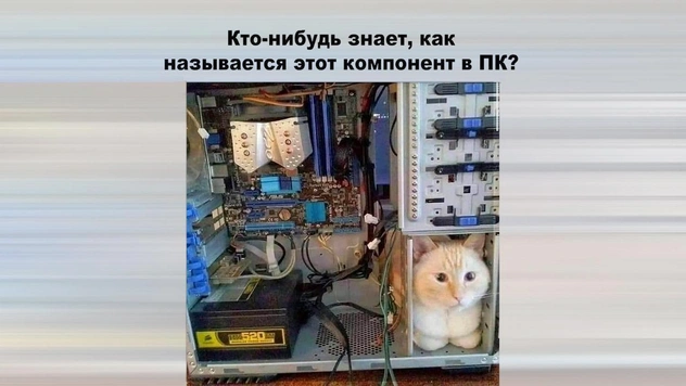 Простой вопрос на Reddit вызвал у народа шквал остроумия