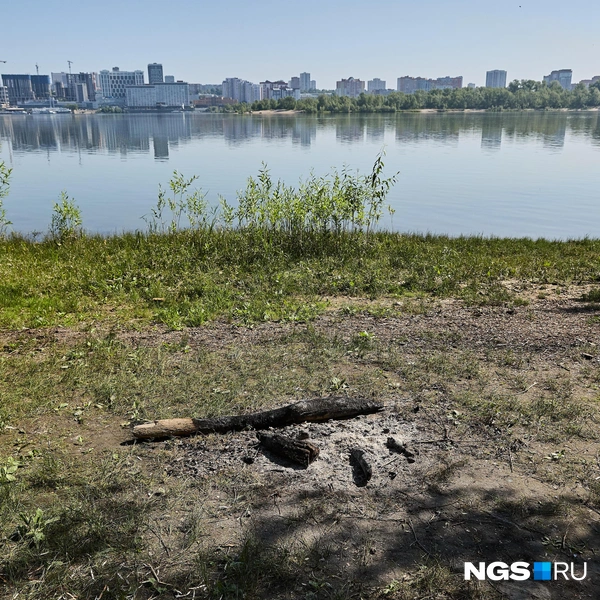 Следов от костров много, и не все убирают за собой после отдыха на природе | Источник: Александр Ощепков / NGS.RU