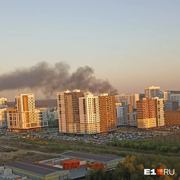 Источник: читатель E1.RU