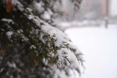 Hold On: When Will Snowfall End in Krasnodar?