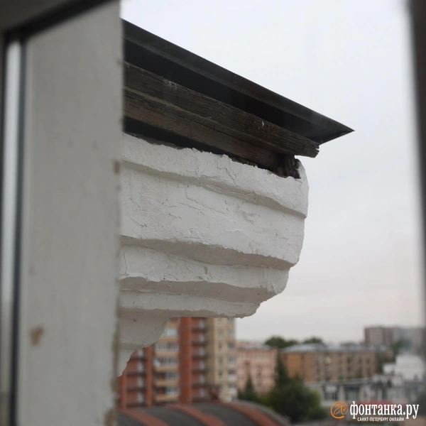 Источник: «Фонтанка.ру»