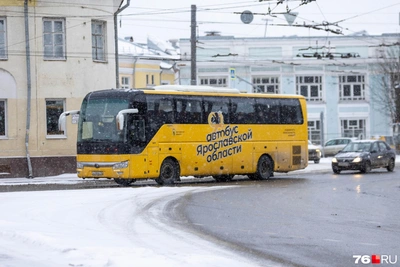 В Ярославле запустят автобус в «Демино» для болельщиков биатлона