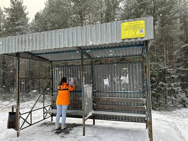 Источник: Поисковый отряд «ЛизаАлерт»