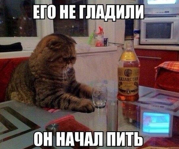 Главные, лучшие и самые смешные мемы — лето 2026 года | Источник: соцсети