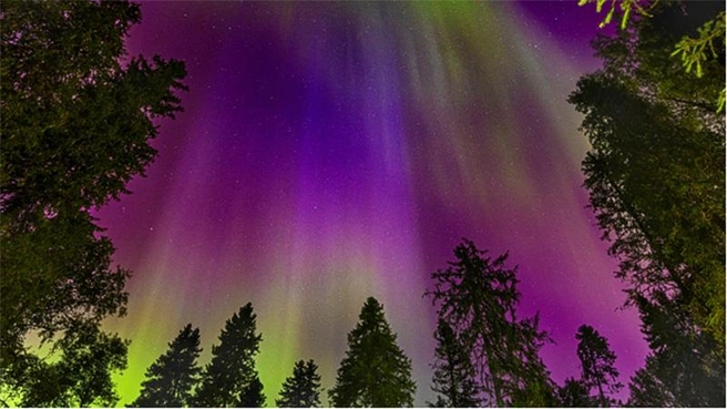 Источник: Т. Корнаухова / предоставлено Нацпарком «Койгородский»