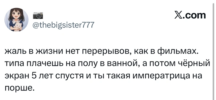 Источник: X (Twitter)