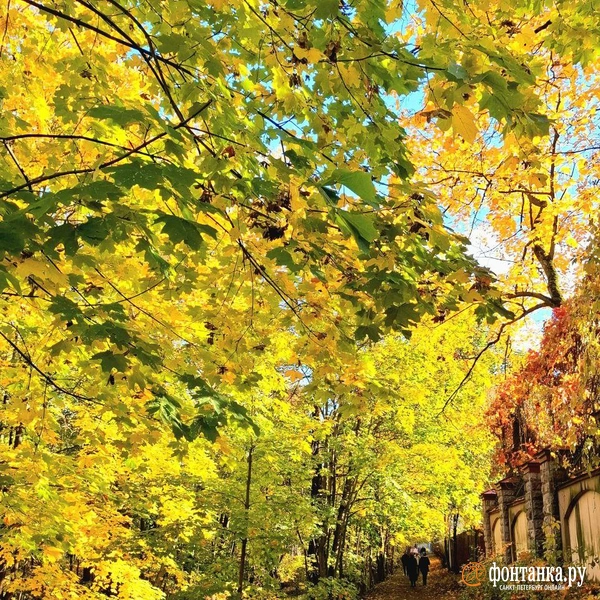 Источник: читатель «Фонтанки»