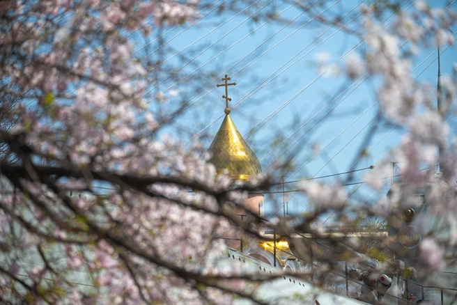 Благовещение — последний из значимых православных праздников перед Пасхой | Источник: Елена Буйвол / VLADIVOSTOK1.RU
