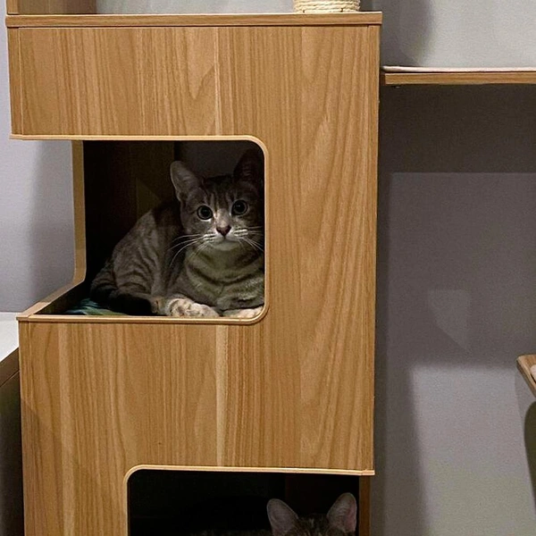 Источник: соцсети