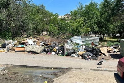 Жители Волгограда просят убрать невидимую для властей свалку