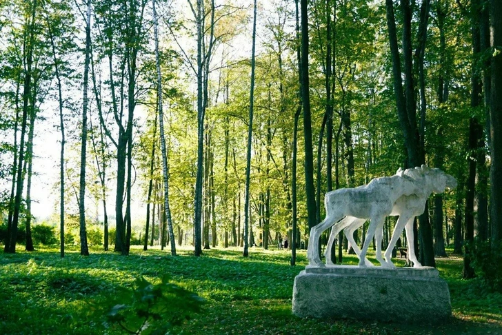 Источник: Центральный парк им. В. В. Воровского