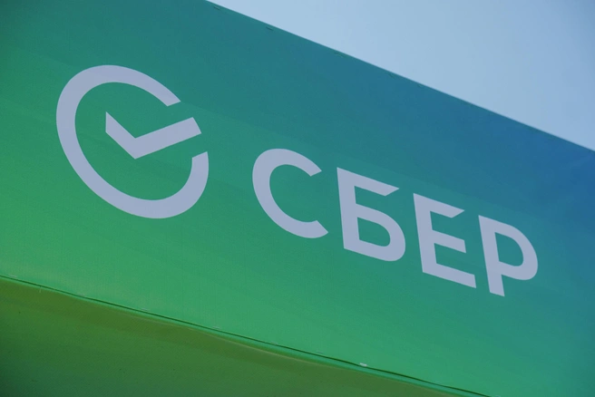 SberPay позволяет быстро и безопасно осуществлять расчеты во время онлайн-шопинга | Источник: ПАО Сбербанк