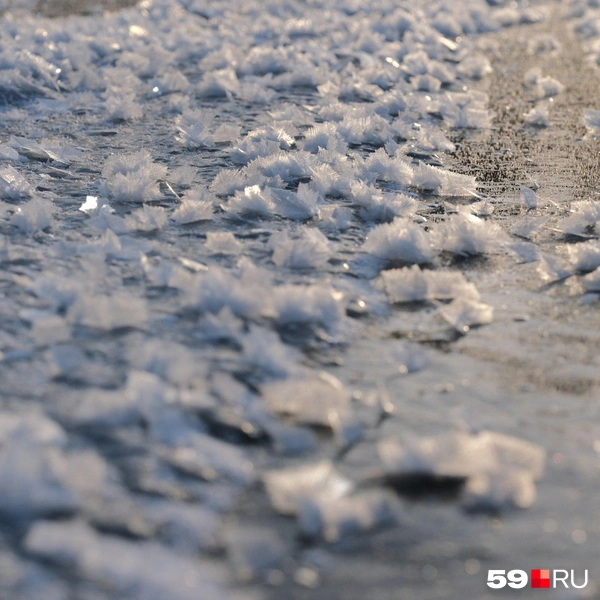 Источник: Тимофей Калмаков / 59.RU