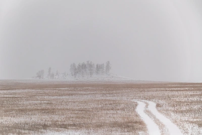 Две 10-летние девочки пропали в Верхней Пышме