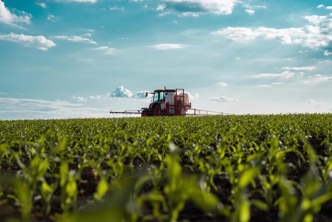 Источник: Shutterstock.com