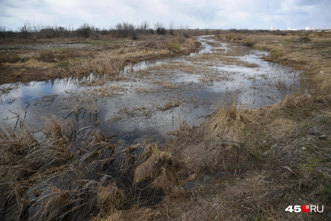 Большая вода пришла в три муниципалитета | Источник: Надежда Тихомирова / 45.RU