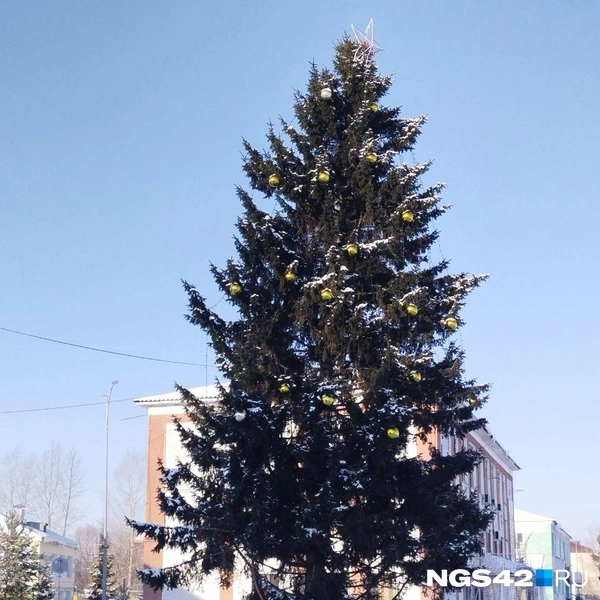 Источник: NGS42.RU