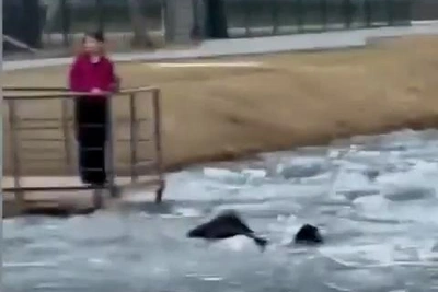 В Тюмени подросток провалился под лед и самостоятельно выбрался