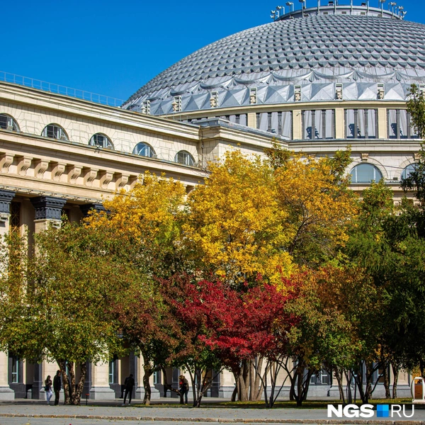 Здесь можно оценить рисунок "чешуи" на куполе незадолго до демонтажа | Источник: Александр Ощепков / NGS.RU