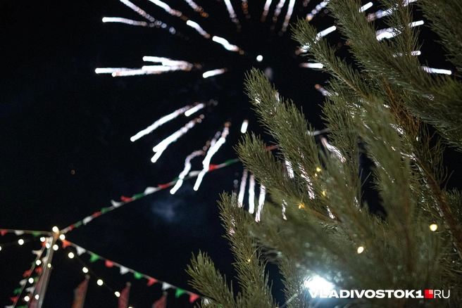 Источник: Елена Буйвол / VLADIVOSTOK1.RU
