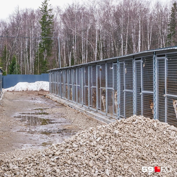 Гравий подсыпают в места с взяким грунтом | Источник: Тимофей Калмаков / 59.RU