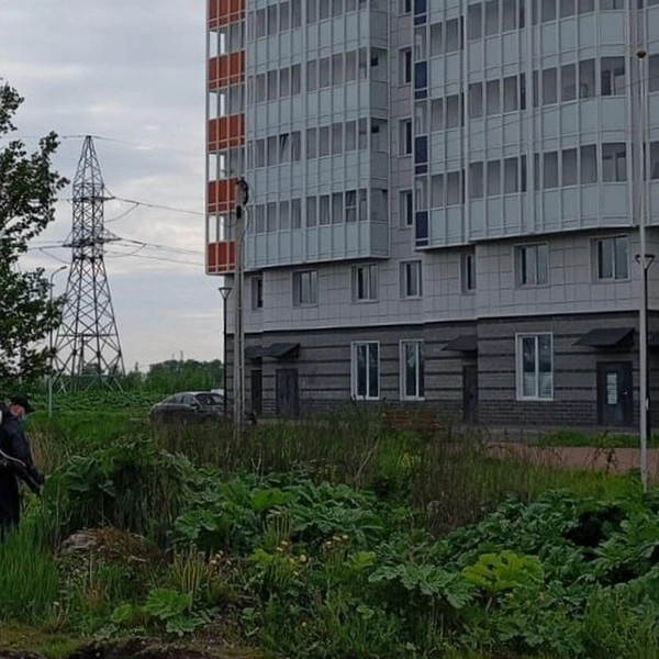Источник: пресс-служба администрации Заневского городского поселения