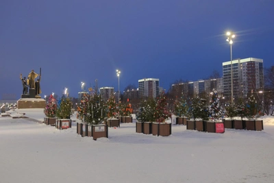 Сто украшенных елей появились у памятника в Перми
