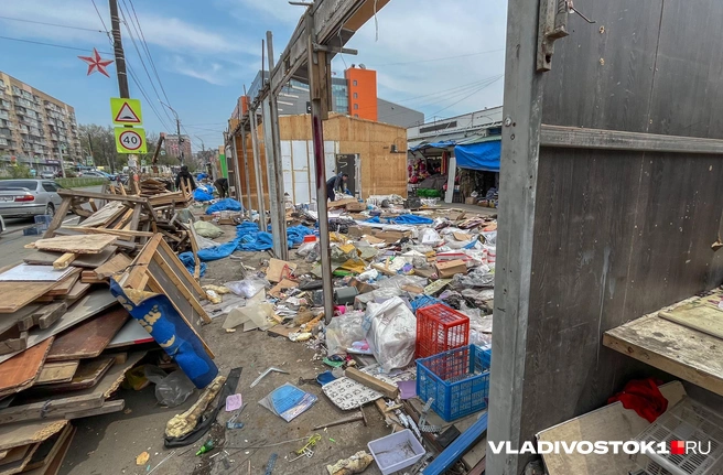 Источник: Елена Буйвол / VLADIVOSTOK1.RU