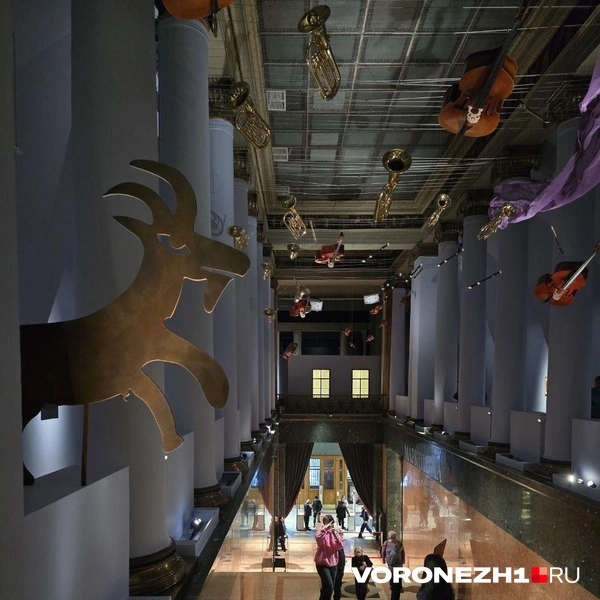 Источник: Ирина Булгакова/ Voronezh1.ru